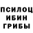 Каннабис гибрид Mr Inc