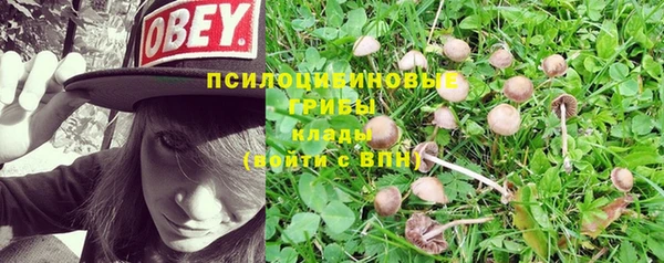 амф Балахна